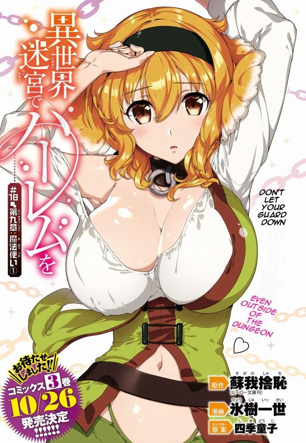 Isekai Meikyū de Harem o